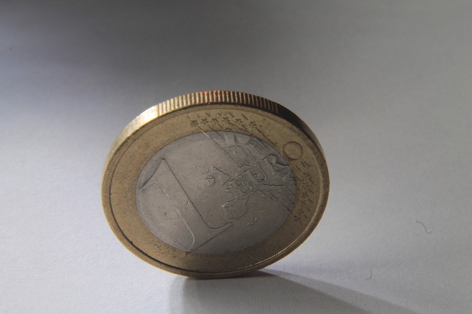 mince euro